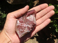 Natural Red Hematoid Phantom Quartz Crystals  x 13 From Karoi, Zimbabwe - TopRock