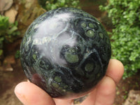 Polished Stromatolite / Kambamba Jasper Spheres  x 4 From Madagascar - TopRock