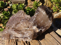 Natural Extra Large Smokey Quartz Cluster  x 1 From Mulanje, Malawi - Toprock Gemstones and Minerals 