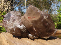 Natural Extra Large Smokey Quartz Cluster  x 1 From Mulanje, Malawi - Toprock Gemstones and Minerals 