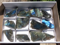 Polished One Side Polished Labradorite Slabs  x 12 From Tulear, Madagascar - TopRock