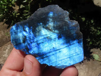 Polished One Side Polished Labradorite Slabs  x 12 From Tulear, Madagascar - TopRock