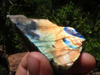 Polished One Side Polished Labradorite Slabs  x 12 From Tulear, Madagascar - TopRock