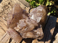 Natural Extra Large Smokey Quartz Cluster  x 1 From Mulanje, Malawi - Toprock Gemstones and Minerals 