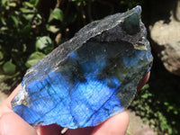 Polished One Side Polished Labradorite Slabs  x 12 From Tulear, Madagascar - TopRock