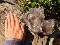 Natural Extra Large Smokey Quartz Cluster  x 1 From Mulanje, Malawi - Toprock Gemstones and Minerals 