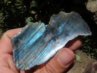 Polished One Side Polished Labradorite Slabs  x 12 From Tulear, Madagascar - TopRock