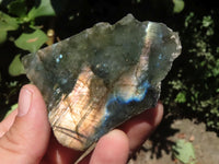 Polished One Side Polished Labradorite Slabs  x 12 From Tulear, Madagascar - TopRock