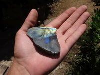 Polished One Side Polished Labradorite Slabs  x 12 From Tulear, Madagascar - TopRock