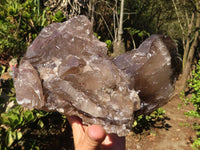 Natural Extra Large Smokey Quartz Cluster  x 1 From Mulanje, Malawi - Toprock Gemstones and Minerals 