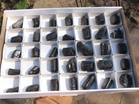 Natural Single Terminated Alluvial Black Schorl Tourmaline Crystals  x 35 From Zimbabwe - TopRock