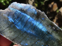 Polished One Side Polished Labradorite Slabs  x 12 From Tulear, Madagascar - TopRock