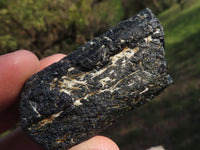 Natural Single Terminated Alluvial Black Schorl Tourmaline Crystals  x 35 From Zimbabwe - TopRock