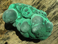 Natural Large Botryoidal Crystalline Malachite Specimen  x 1 From Kasompe, Congo - Toprock Gemstones and Minerals 