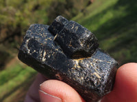 Natural Single Terminated Alluvial Black Schorl Tourmaline Crystals  x 35 From Zimbabwe - TopRock