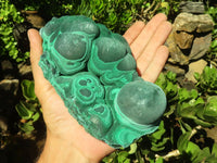 Natural Large Botryoidal Crystalline Malachite Specimen  x 1 From Kasompe, Congo - Toprock Gemstones and Minerals 