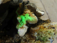 Natural Fluorescent Hyalite Opal Specimens  x 2 From Erongo, Namibia