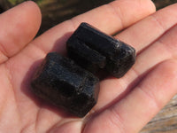 Natural Single Terminated Alluvial Black Schorl Tourmaline Crystals  x 35 From Zimbabwe - TopRock