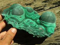 Natural Large Botryoidal Crystalline Malachite Specimen  x 1 From Kasompe, Congo - Toprock Gemstones and Minerals 