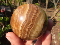 Polished  Chocolate Swirl Aragonite Spheres  x 3 From Antsirabe, Madagascar