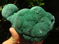 Natural Large Botryoidal Crystalline Malachite Specimen  x 1 From Kasompe, Congo - Toprock Gemstones and Minerals 