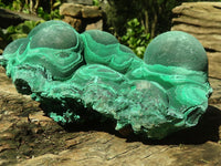 Natural Large Botryoidal Crystalline Malachite Specimen  x 1 From Kasompe, Congo - Toprock Gemstones and Minerals 