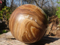 Polished  Chocolate Swirl Aragonite Spheres  x 3 From Antsirabe, Madagascar