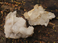 Natural Small Mixed Quartz Clusters  x 12 From Madagascar - TopRock