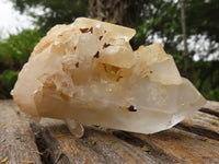 Natural Small Mixed Quartz Clusters  x 12 From Madagascar - TopRock