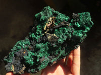 Natural Acicular Silky Malachite Specimen  x 1 From Kasompe, Congo - Toprock Gemstones and Minerals 