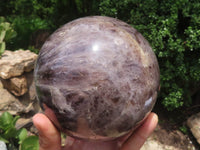 Polished Large Flower Amethyst Sphere  x 1 From Madagascar - TopRock