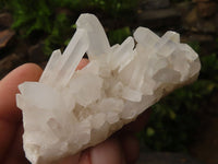 Natural Small Mixed Quartz Clusters  x 12 From Madagascar - TopRock