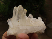 Natural Small Mixed Quartz Clusters  x 12 From Madagascar - TopRock