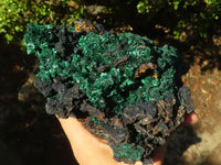 Natural Acicular Silky Malachite Specimen  x 1 From Kasompe, Congo - Toprock Gemstones and Minerals 