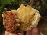 Natural Golden Limonite / Lemonite Quartz Clusters  x 24 From Zambia - TopRock