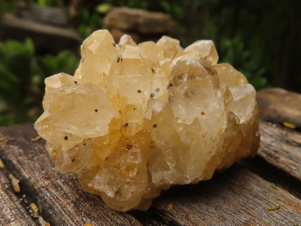 Natural Golden Limonite / Lemonite Quartz Clusters  x 24 From Zambia - TopRock