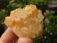 Natural Golden Limonite / Lemonite Quartz Clusters  x 24 From Zambia - TopRock