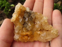 Natural Golden Limonite / Lemonite Quartz Clusters  x 24 From Zambia - TopRock