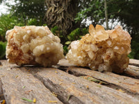 Natural Golden Limonite / Lemonite Quartz Clusters  x 24 From Zambia - TopRock