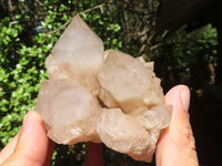 Natural Cascading White Phantom Quartz Clusters  x 6 From Luena, Congo - Toprock Gemstones and Minerals 