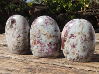 Polished Rubellite Pink Tourmaline Standing Free Forms x 3 From Ambatondrazaka, Madagascar