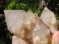 Natural Cascading White Phantom Quartz Clusters  x 6 From Luena, Congo - Toprock Gemstones and Minerals 