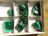 Polished Flower Banded Malachite Free Forms  x 6 From Congo - Toprock Gemstones and Minerals 