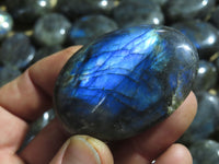 Polished Labradorite Gallets with Selected Flash (Palm Stones) - sold per kg - From Tulear, Madagascar - TopRock