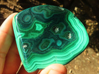 Polished Flower Banded Malachite Free Forms  x 6 From Congo - Toprock Gemstones and Minerals 