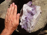 Natural Jacaranda Amethyst Specimens  x 2 From Mumbwa, Zambia - Toprock Gemstones and Minerals 