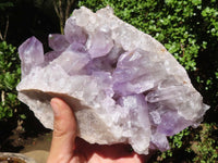 Natural Jacaranda Amethyst Specimens  x 2 From Mumbwa, Zambia - Toprock Gemstones and Minerals 