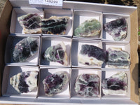 Polished Watermelon Fluorite Slices  x 12 From Uis, Namibia