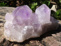 Natural Jacaranda Amethyst Specimens  x 2 From Mumbwa, Zambia - Toprock Gemstones and Minerals 