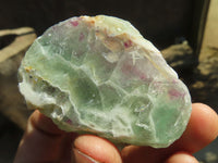 Polished Watermelon Fluorite Slices  x 12 From Uis, Namibia